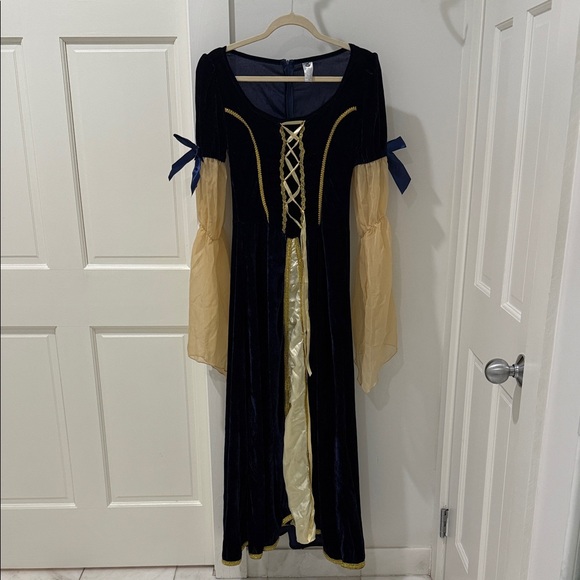 Adult Medieval Princess Costume - Blue and Cream - Picture 1 of 5